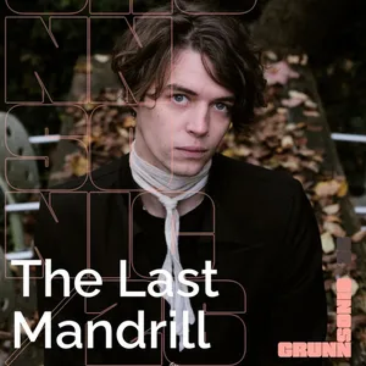 The Last Mandrill